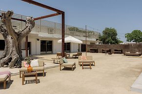 São Brás do Regedouro - Turismo de Aldeia