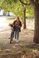 São Brás do Regedouro - Turismo de Aldeia