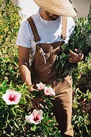 Ammothines Cycladic Suites