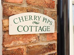 Cherry Pips