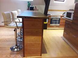 Large Charming Duplex Brussels Historical Center