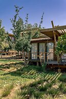 Radisson Blu Resort, Taghazout Bay Surf Village