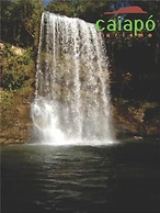 Hotel Palace Avenida