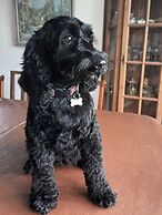 Modern Detached Bungalow