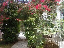 House With Garden Wala