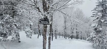 Chandler Hill Base Camp - Enjoy A Nature Getaway In This Rustic Home I