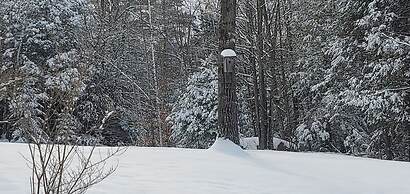 Chandler Hill Base Camp - Enjoy A Nature Getaway In This Rustic Home I