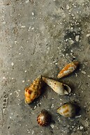 Mi Lugar Retreat and Spa