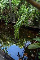 Mi Lugar Retreat and Spa