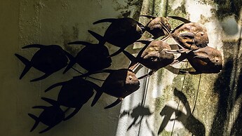 Mi Lugar Retreat and Spa