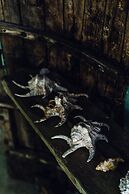 Mi Lugar Retreat and Spa