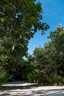 Mi Lugar Retreat and Spa