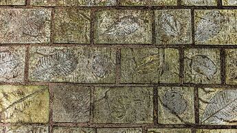 Mi Lugar Retreat and Spa