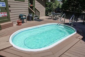 Crestview 25 Convenient Location near the Village and Lifts, Pet-Frien