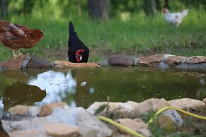 Vila Ambasador Bratin Dol