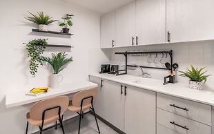 Mr. Agrippa - By TLV2GO