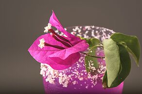 Layla Tulum - Adults Only