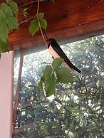 Villa in Malaki in Sea With Playground