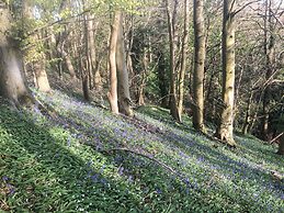 Under Catswood