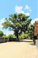 Tiny House in Authentic Japanese Koi Garden in Florida