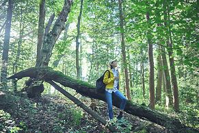 Hotel Indigo Karuizawa by IHG