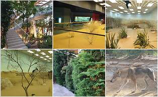 DoubleTree by Hilton Sharjah Waterfront Hotel & Residences