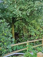 Glamping Hut - Riverview 4