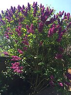 Beautiful big Independent Furnished Bungalow