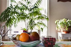 Dont Get Stucked In Boston Traffic!