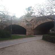 Quiet Single Room in Valencia, With Large Terrace for Pets