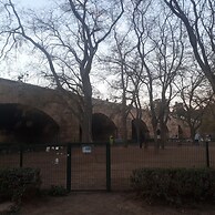 Quiet Single Room in Valencia, With Large Terrace for Pets