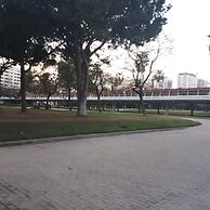 Quiet Single Room in Valencia, With Large Terrace for Pets