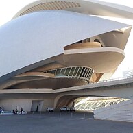 Quiet Single Room in Valencia, With Large Terrace for Pets