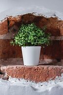 Studio Joselewicza Cracow by Renters