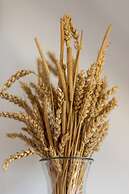 Osada Gubalowka Apartments by Renters