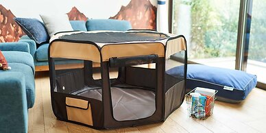 Rakuten STAY VILLA Hakone Sengokuhara