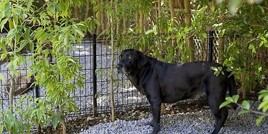 Rakuten STAY VILLA Hakone Sengokuhara