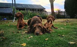 Rustic Log Cabin - Dog Friendly - Sleeps 2 - Views