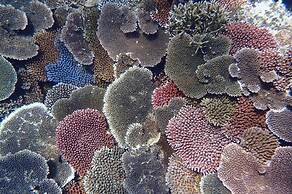 Sun Akaishibeach no Yado