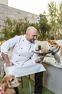 ANDAZ CONDESA MEXICO CITY, BY HYATT