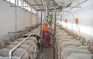 Stunning Apartment in Radicondoli With Outdoor Swimming Pool, Wifi and