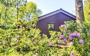 Stunning Home in Emsland With 4 Bedrooms, Sauna and Wifi