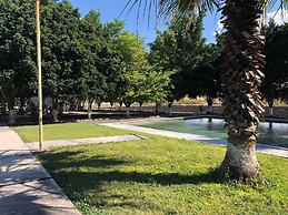 Room-lodging and Camping the Island