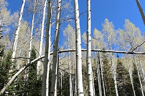 909 Park Ave 5 Bedroom Home by RedAwning