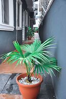 Starexx Luxury Apartment