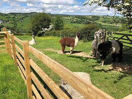 The Shepherds Hut at Hafoty Boeth