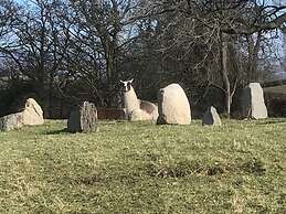 The Shepherds Hut at Hafoty Boeth