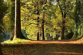 The Shippon -hot Tub ext chg - Superking-log Fire