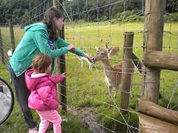 The Shippon -hot Tub ext chg - Superking-log Fire