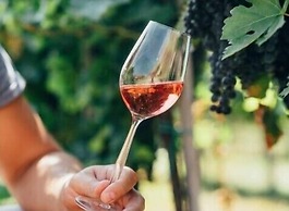 Au Coin des Vins